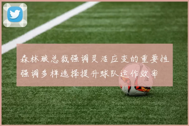 森林狼总裁强调灵活应变的重要性强调多样选择提升球队运作效率