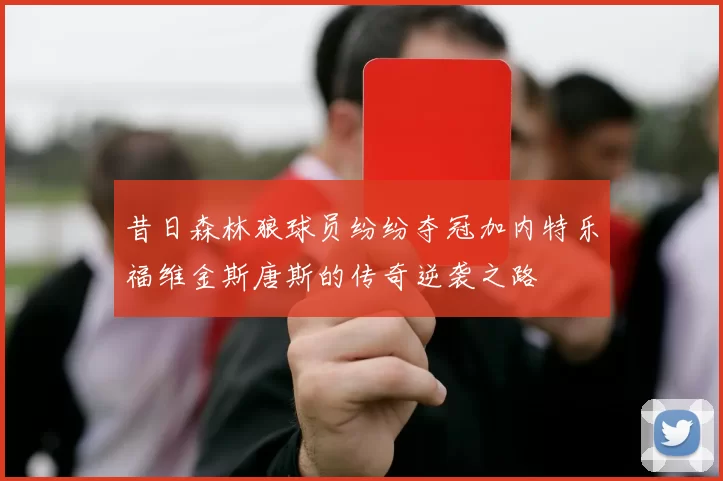 昔日森林狼球员纷纷夺冠加内特乐福维金斯唐斯的传奇逆袭之路